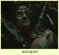 borg bouquet